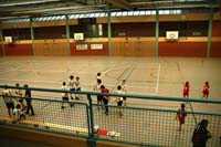 IMG_6805