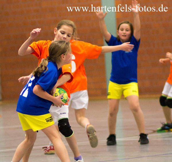 Handball Weibliche E Jugend TUS Ahrbach - SF Neustadt 25.11.2012251112IMG_0027