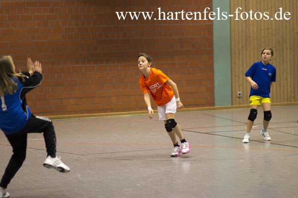 Handball Weibliche E Jugend TUS Ahrbach - SF Neustadt 25.11.2012251112IMG_9970