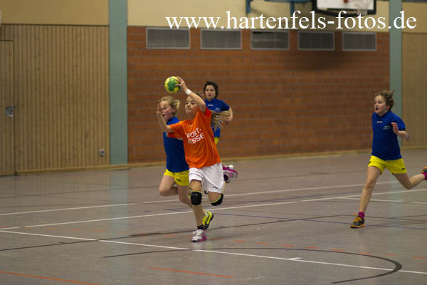 Handball Weibliche E Jugend TUS Ahrbach - SF Neustadt 25.11.2012251112IMG_9977