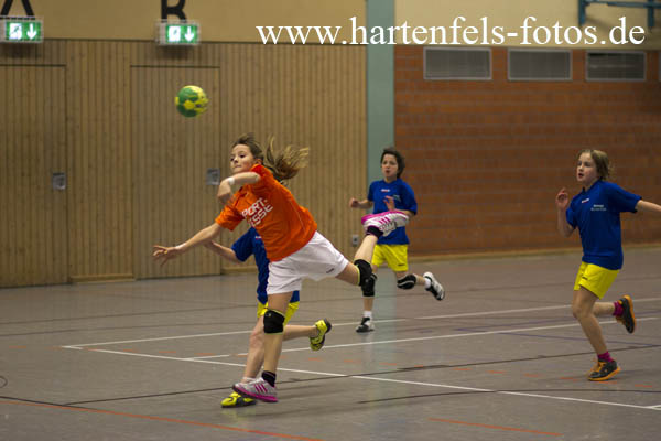 Handball Weibliche E Jugend TUS Ahrbach - SF Neustadt 25.11.2012251112IMG_9978