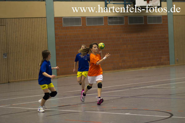 Handball Weibliche E Jugend TUS Ahrbach - SF Neustadt 25.11.2012251112IMG_9981