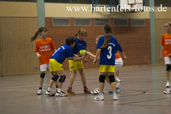 Handball Weibliche E Jugend TUS Ahrbach - SF Neustadt 25.11.2012251112IMG_9995