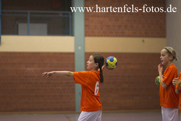 Handball Weibliche E Jugend TUS Ahrbach - SF Neustadt 25.11.2012251112TUS Ahrbach - SF Neustadt 25.11.2012_0020