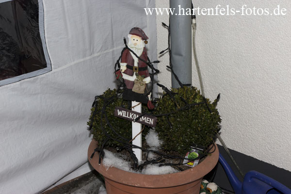 IMG_0594IMG_0594