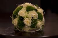 IMG_3387IMG_3387