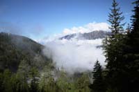 IMG_0501