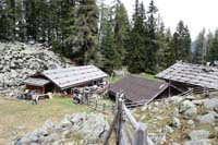 IMG_0533