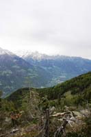 IMG_0639