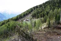 IMG_0649