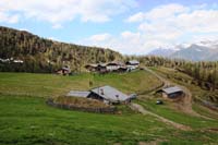 IMG_3726