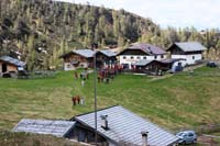 IMG_3727