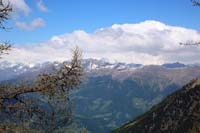 IMG_3756
