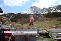 IMG_3930