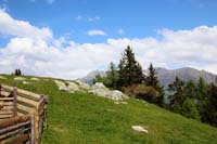 IMG_4090