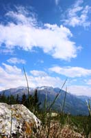 IMG_4103