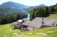 IMG_4105