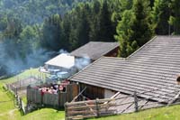 IMG_4109